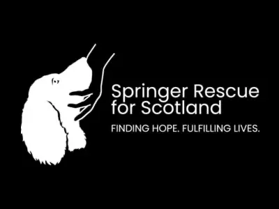 Springer Rescue Scotland logo